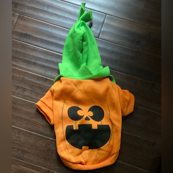 Pumpkin Halloween hooded pet costume - Medium - cat or small dog 🎃 - Picture 5 of 9